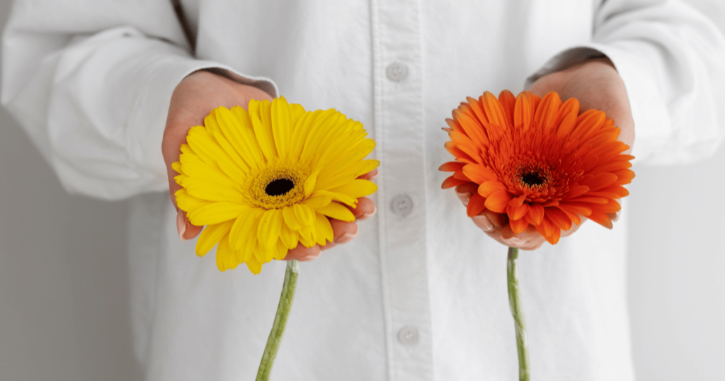 Fresh vs. Preserved Flowers: Which Is Right for You?