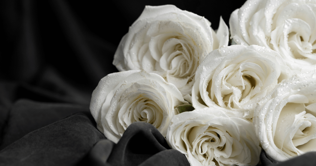 马来西亚送悼念花礼仪指南：该送什么花最合适？