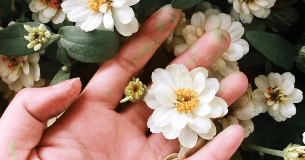 7 Meaningful Flowers to Express Love, Gratitude, and Friendship
