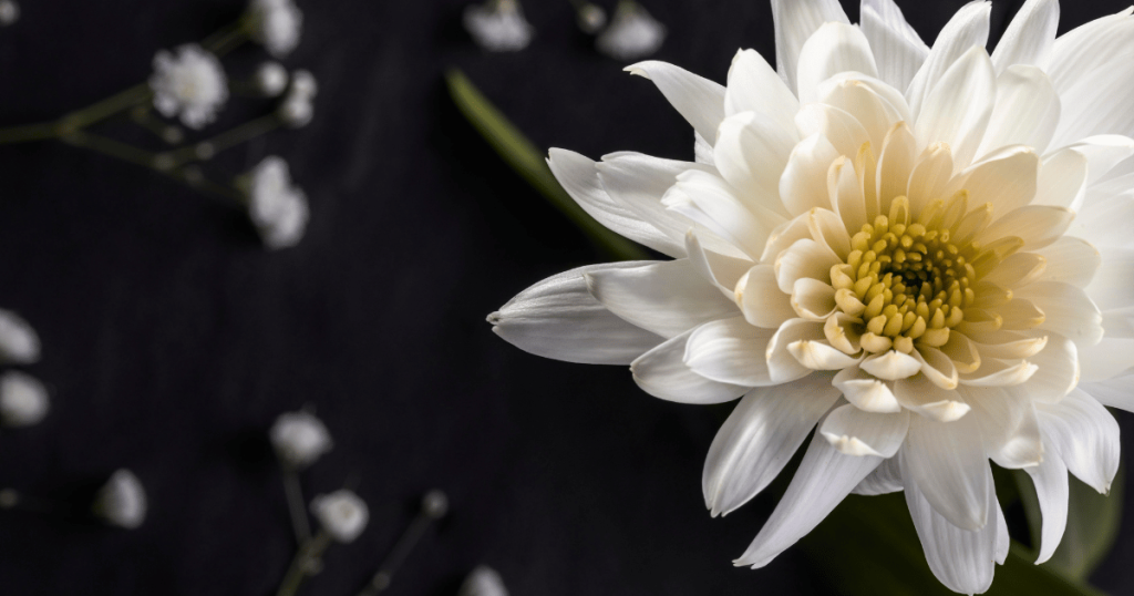 Best Condolence Flowers in Muar: How to Show Respect with Grace